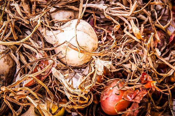 09042013 farmers mkt-4