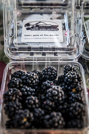 2013 08 28 farmers market-16