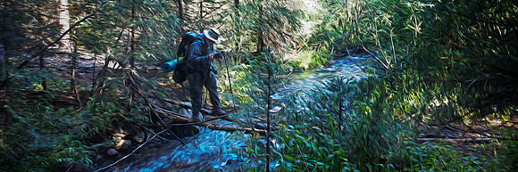The water warned but the trail never wavered