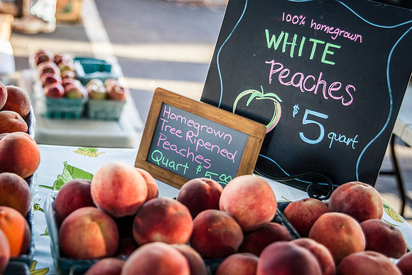 2013 08 28 farmers market-14