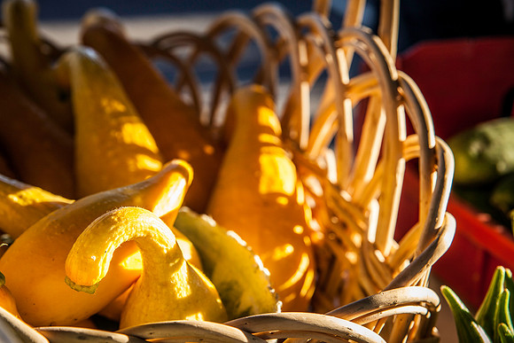 2013 08 28 farmers market-12