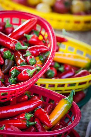2013 08 14 farmers market-19