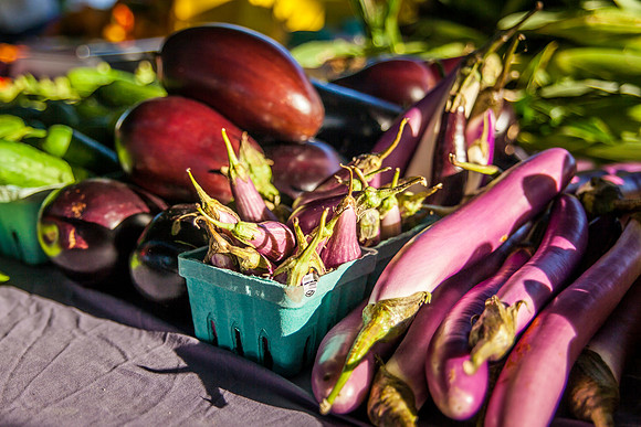 2013 08 28 farmers market-21