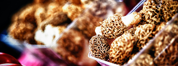 untitled-19_HDR
