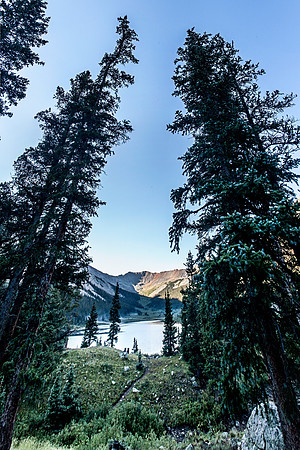Tall Guards of Grizzly Lake