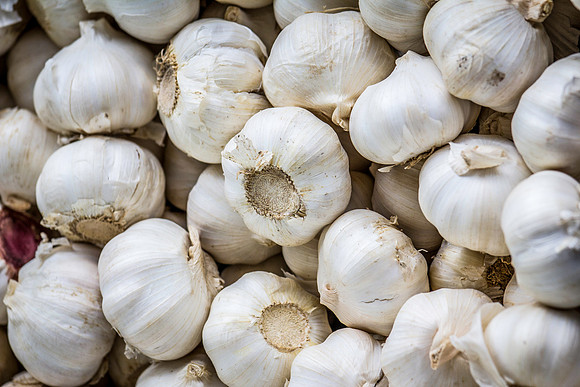 farmers market-49