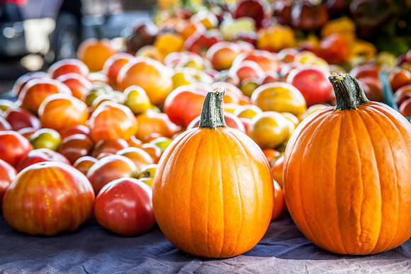 09042013 farmers mkt-2