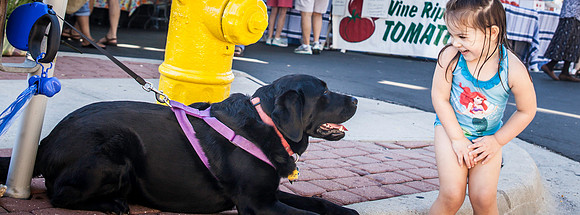 2013 08 28 farmers market-29