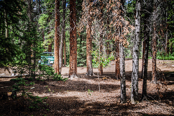 IMG_0001-Edit
