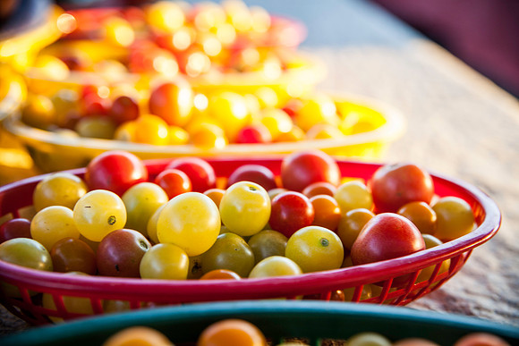 2013 08 28 farmers market-8
