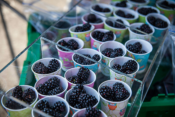 farmers market-71