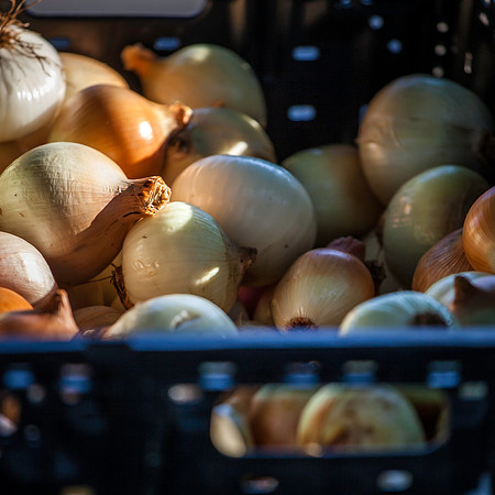 2013 08 14 farmers market-15