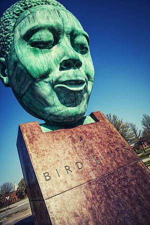 bird lives color