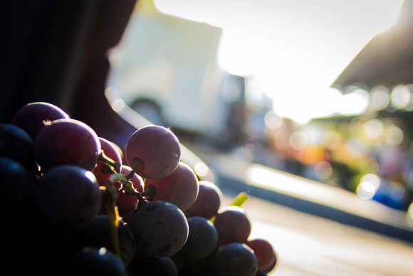 farmers market-119