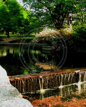 loosepark 2011may2
