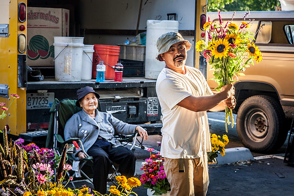 2013 08 28 farmers market-11