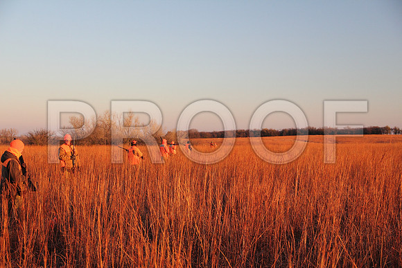 Concordia pheasant hunting
