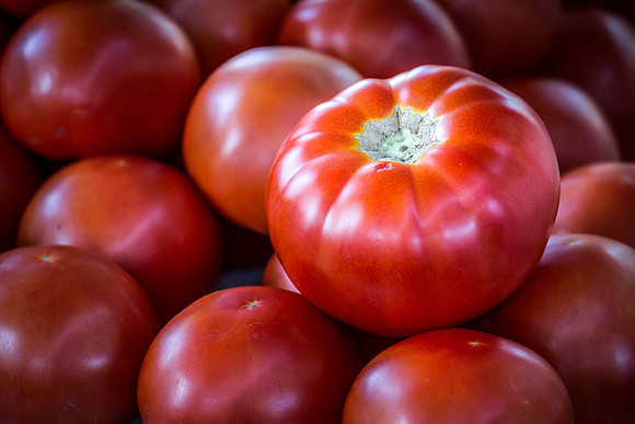 farmers market-25