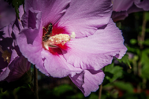 09042013 farmers mkt-21