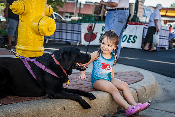 2013 08 28 farmers market-30