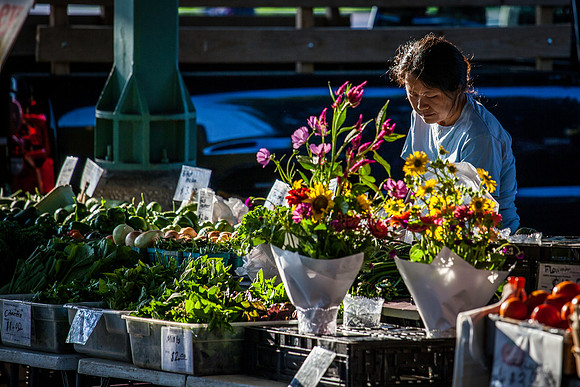 2013 08 14 farmers market-4