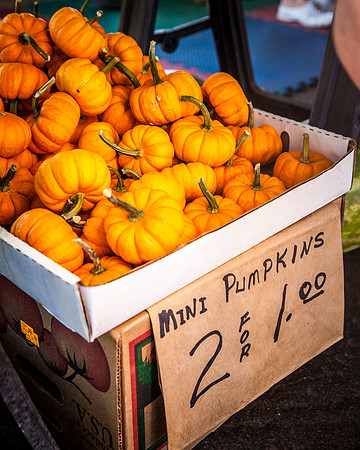 09042013 farmers mkt-7