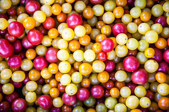 09042013 farmers mkt-16