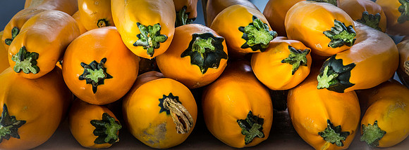 farmers market-16