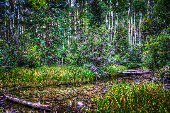 cascades pool