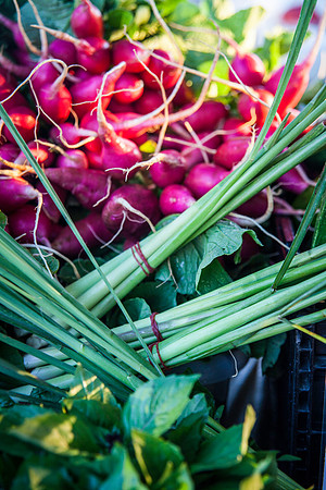 2013 08 28 farmers market-5