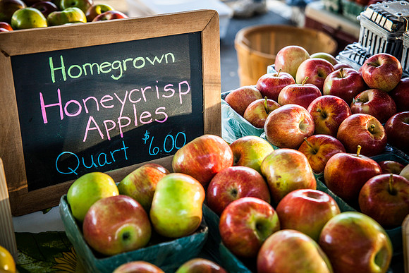 2013 08 28 farmers market-13