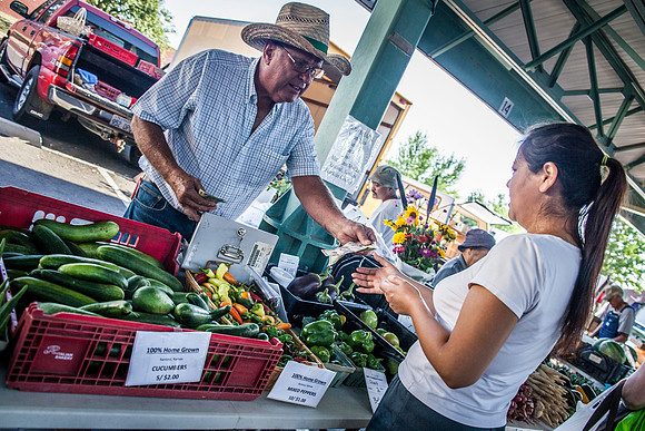 2013 08 28 farmers market-25