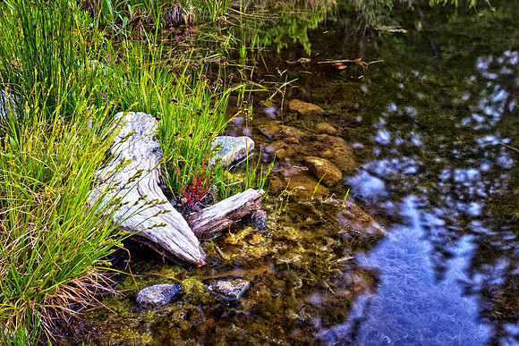 Chalk Creek-6