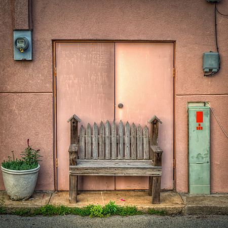 Bird’s Bench
