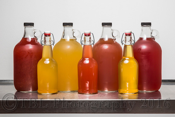 The Scoby Master Tea-Biotics