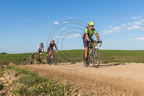 _MG_0375-2