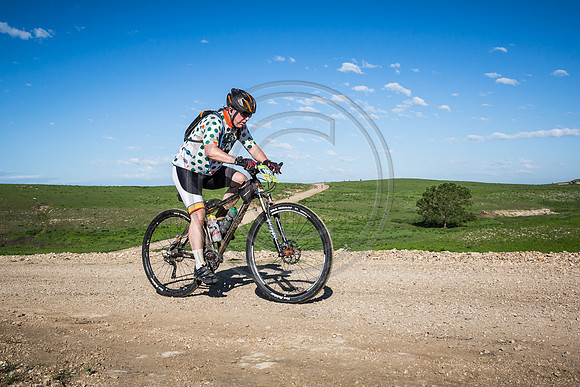 _MG_0355