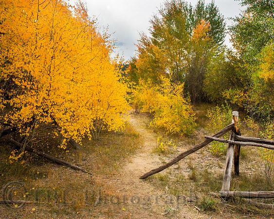 Twin Lakes Trail