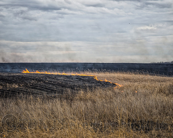 2016 03 31 Lyon County Kansas
