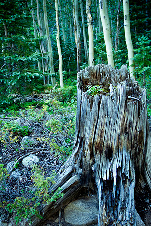 Grizzly Lake (3 of 16)