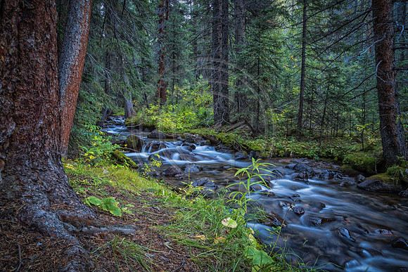 Mt Yale Stream
