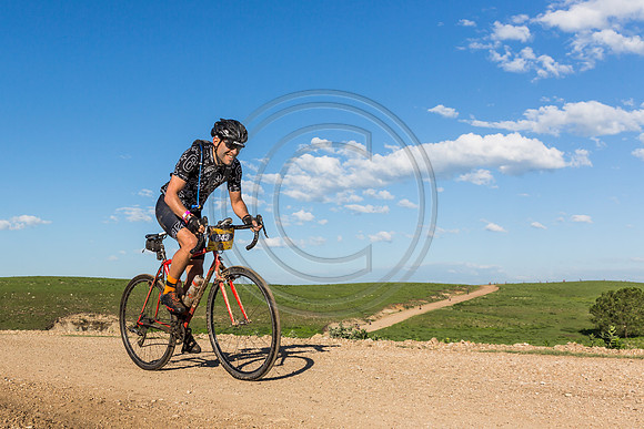 _MG_0384-2