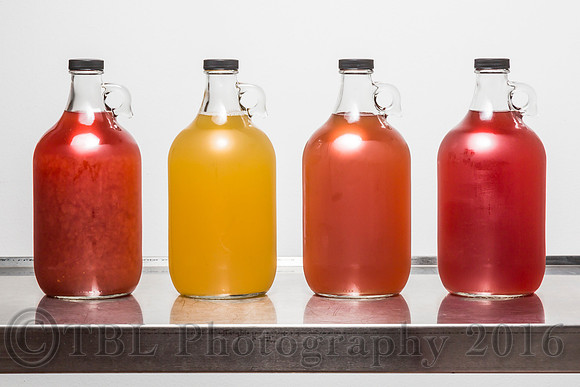 The Scoby Master Tea-Biotics