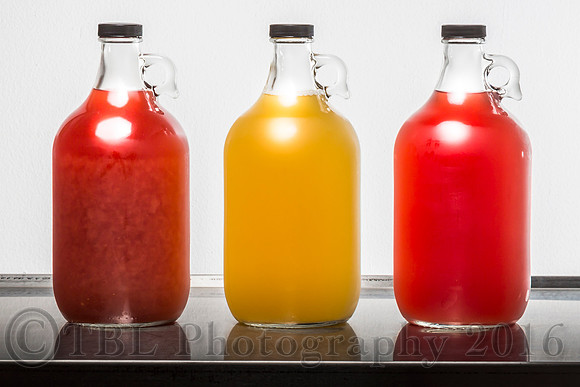 The Scoby Master Tea-Biotics
