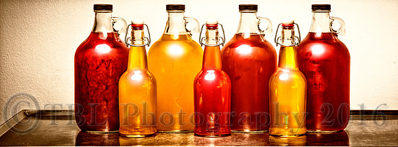 The Scoby Master Tea-Biotics