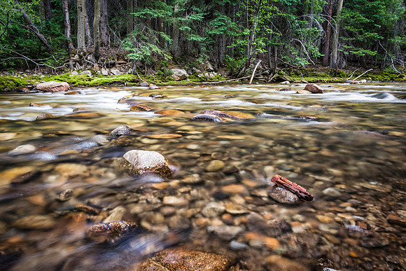 Chalk Creek July 2016 drift wood