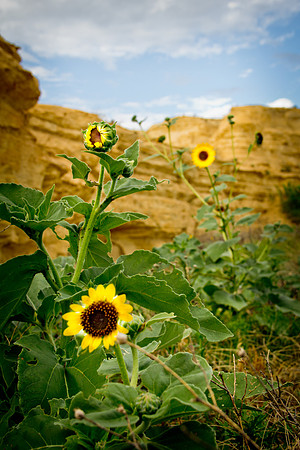 Castle Rock