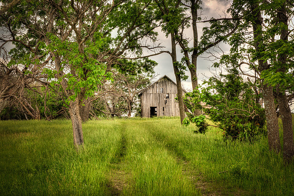 The old barn 2
