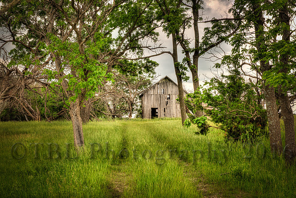 Old Barn Lyon County 2