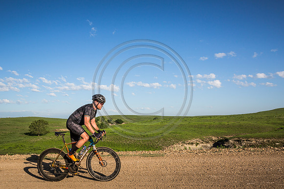 _MG_0234-2